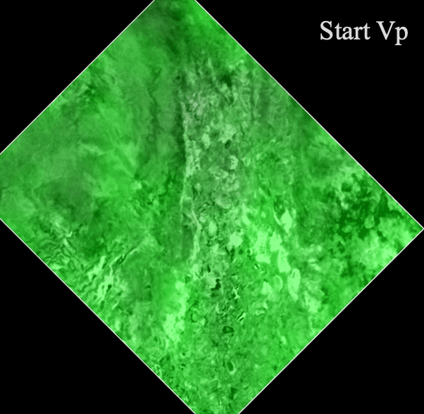 Fig 4. Inverted model of an arbitrary depth slice revealing High-velocity Oligocene–Miocene clastics.